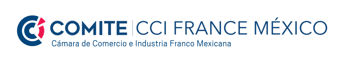 Logo Comite CCI FRANCE MEXICO