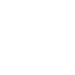 Largest vehicule producer